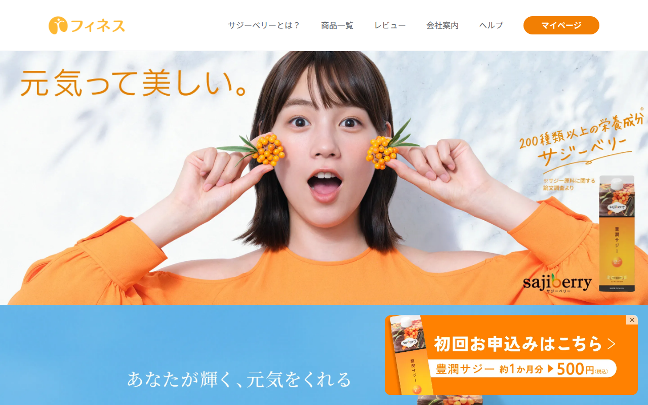 サジーのフィネス